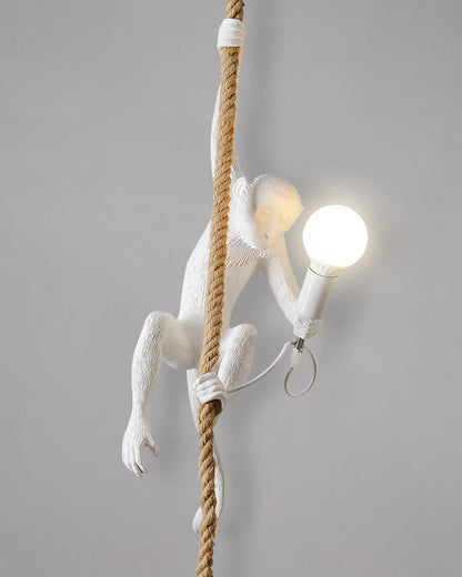 Suspension - Monkey Rope