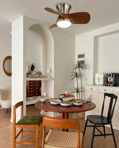 MiniBrio 22 Ceiling Fan