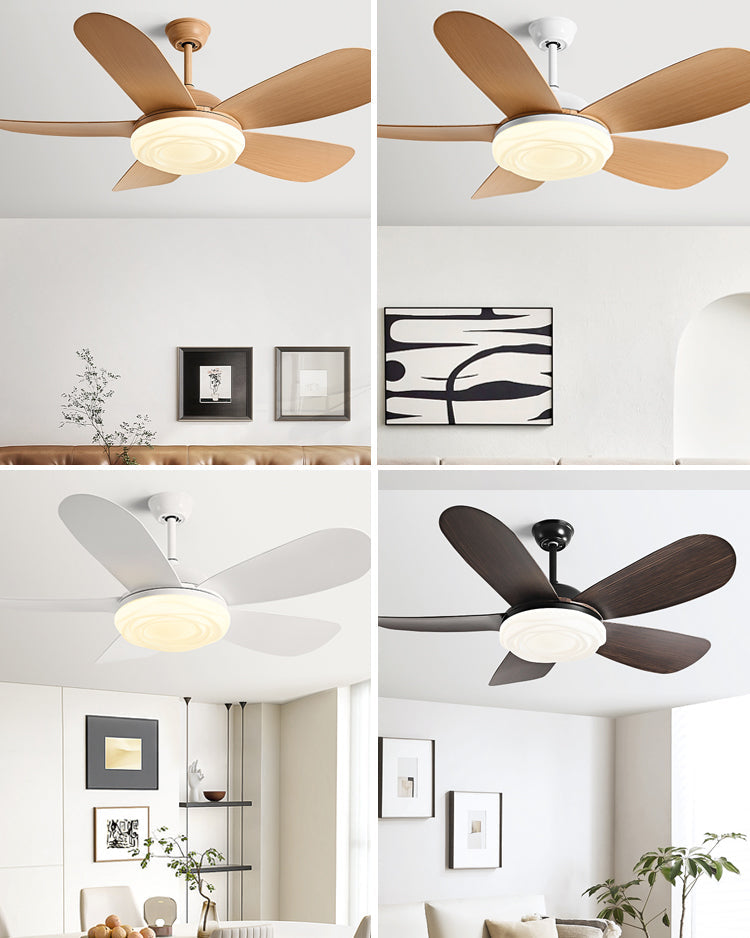 Aramis Ceiling Fan