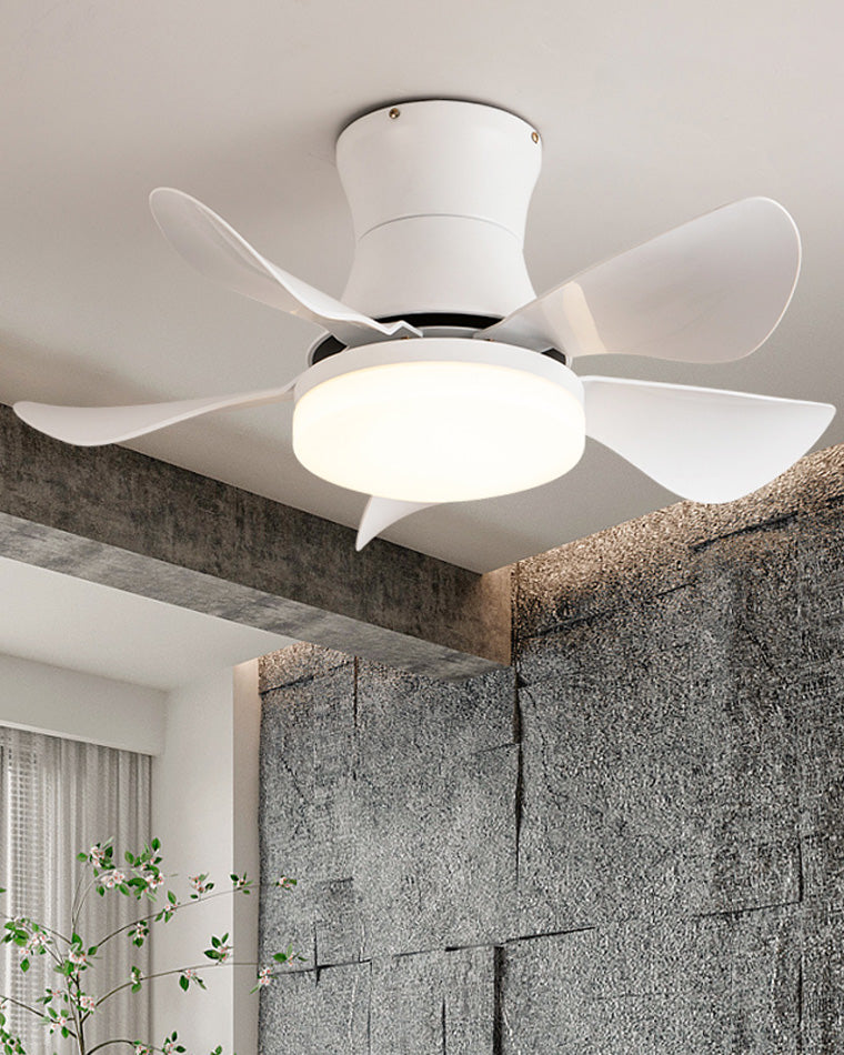 AeroMini LED Fan