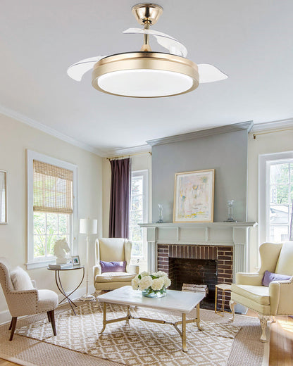 Modern black retractable ceiling fan