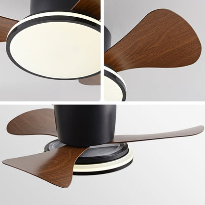 Lino Ceiling Fan