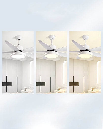 LuminaFlow LED Fan