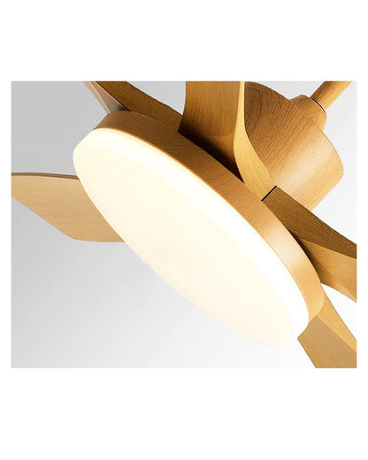Nordik Quintessence Ceiling Fan