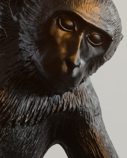 Suspension - Monkey Rope