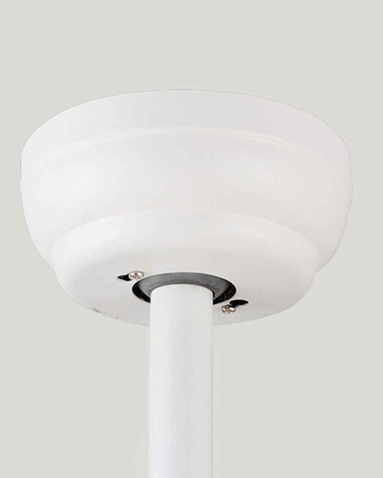 BrisePure ceiling fan