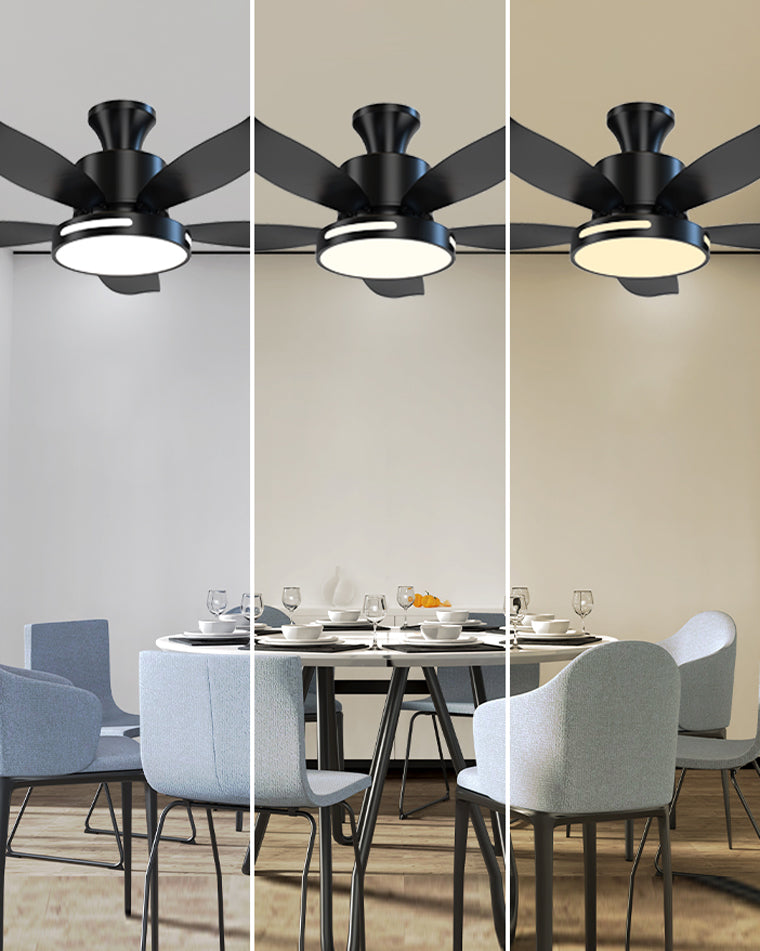 LuminaFlow LED Fan