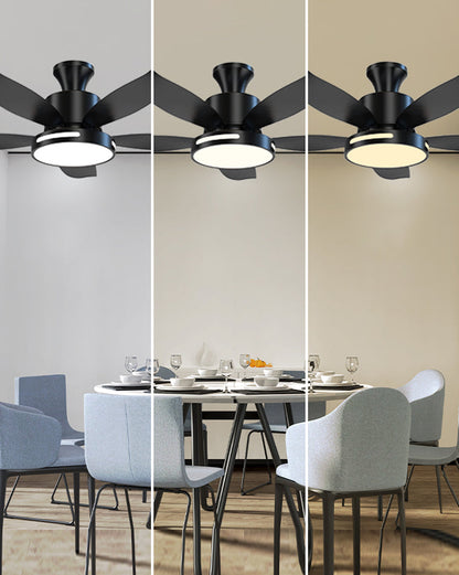 LuminaFlow LED Fan