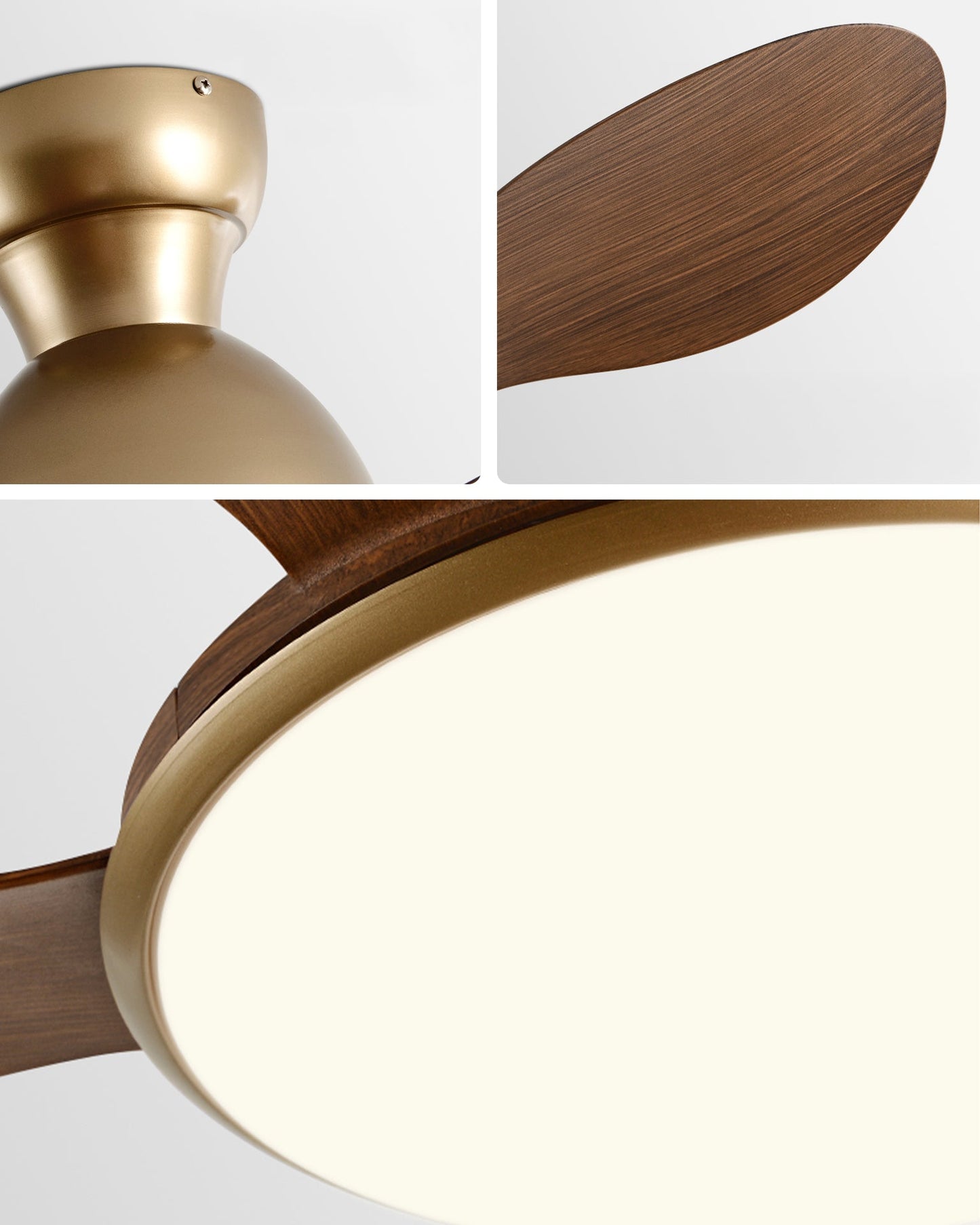 Silesia Ceiling Fan