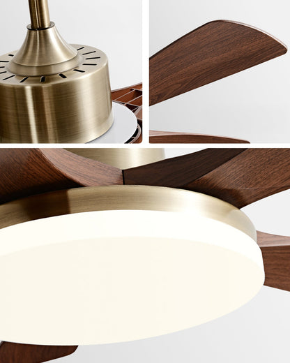 Celestia Ceiling Fan