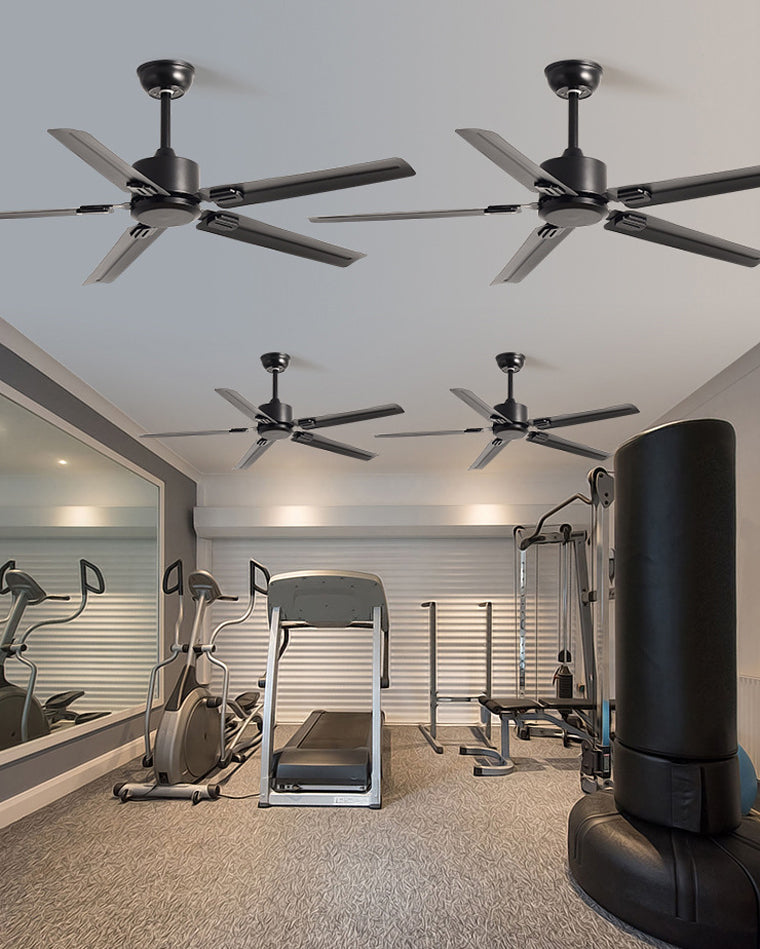 Glass Ceiling Fan