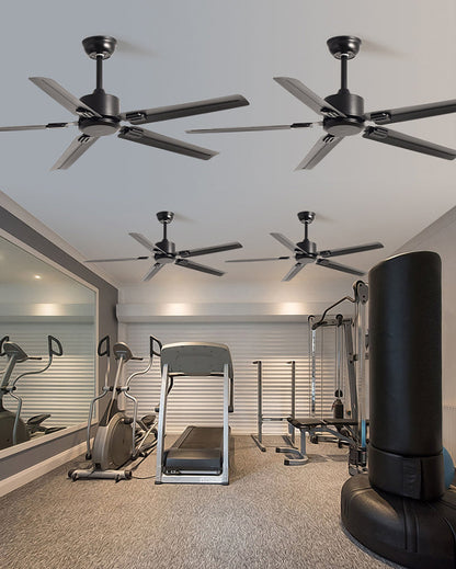 Glass Ceiling Fan