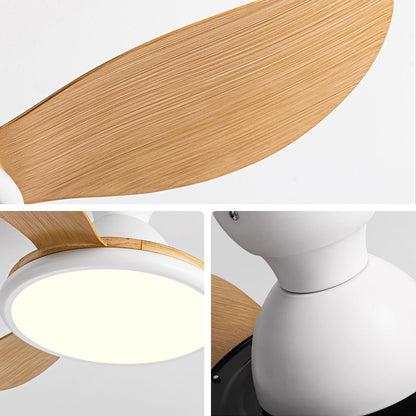 Pearly Breeze Ceiling Fan