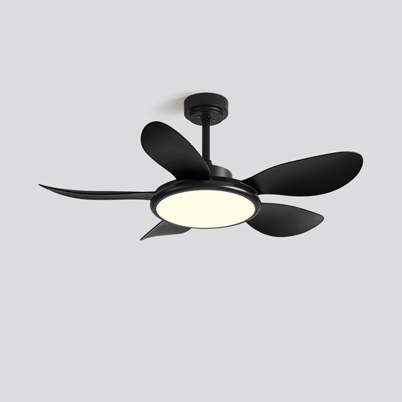 Quintette Boreal Ceiling Fan