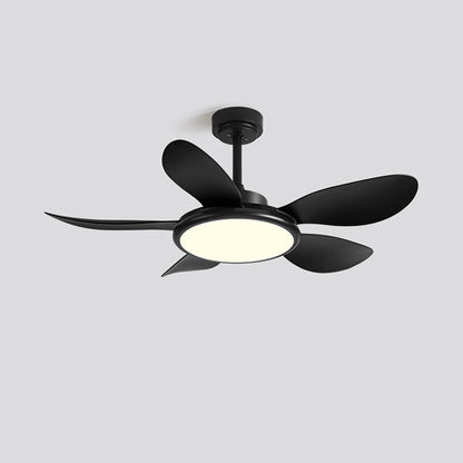 Quintette Boreal Ceiling Fan