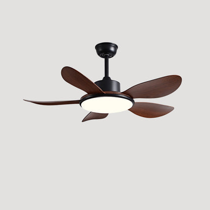 Quintette Boreal Ceiling Fan