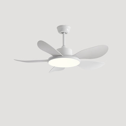 Quintette Boreal Ceiling Fan