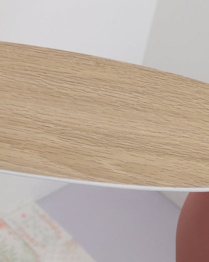 Ceiling Fan - SkyFly