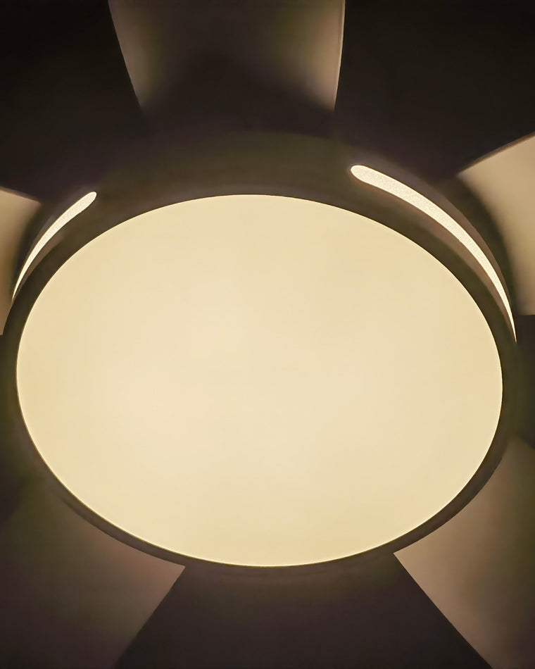 LuminaFlow LED Fan
