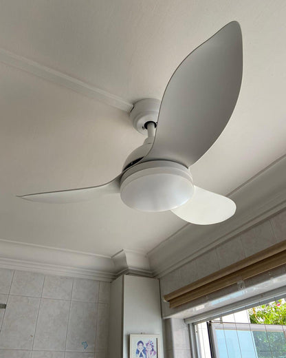 Modern White Elegance Ceiling Light with Fan