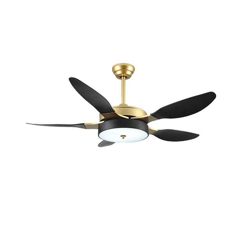 Gold ceiling fan - Auréa Vent