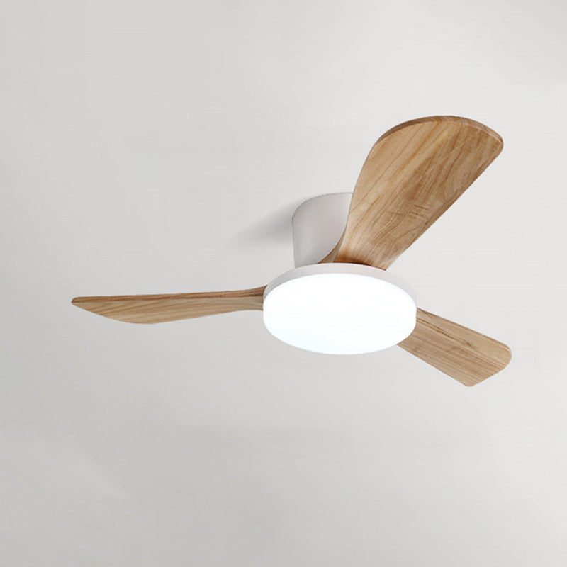 Ceiling Fan - BreezeWood