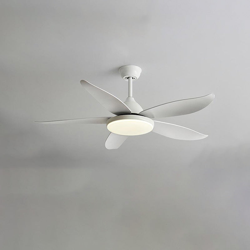 Elegant 5-blade ceiling fan