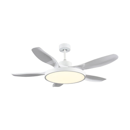 GrandLuxe ceiling fan