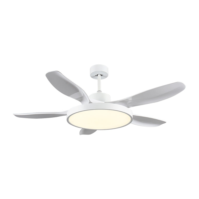 GrandLuxe ceiling fan