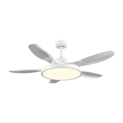 GrandLuxe ceiling fan