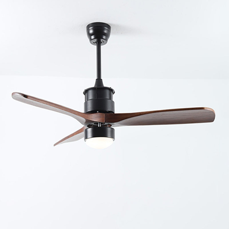 AeroNoir ceiling fan