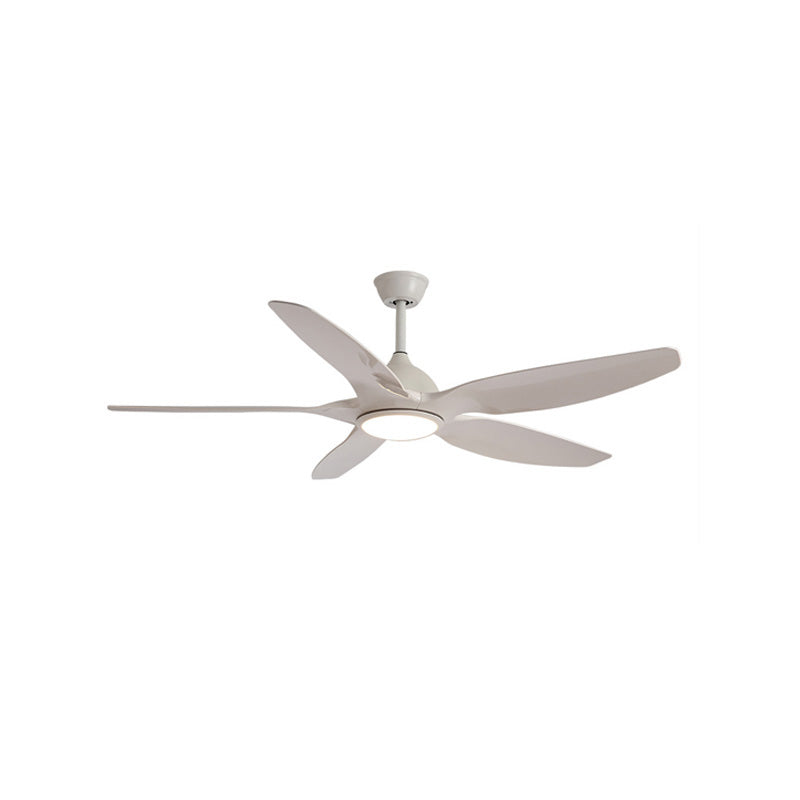 Grandio ceiling fan