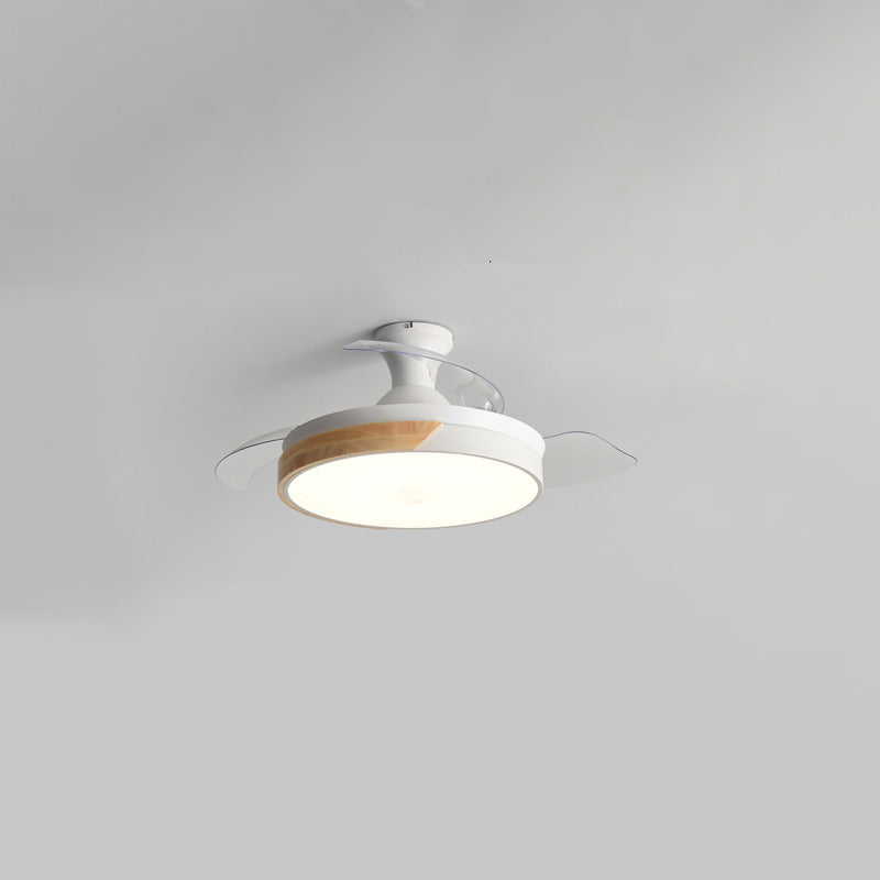Scandinavian Ceiling Fan with Lighting