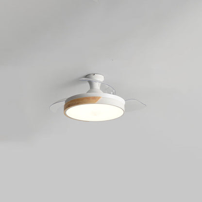 Scandinavian Ceiling Fan with Lighting