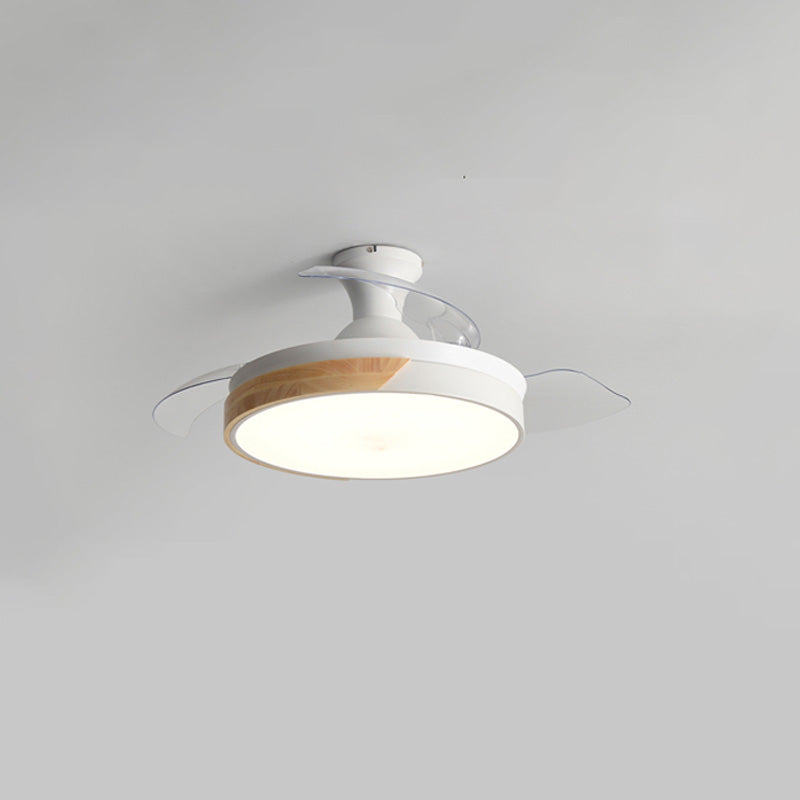 Scandinavian Ceiling Fan with Lighting