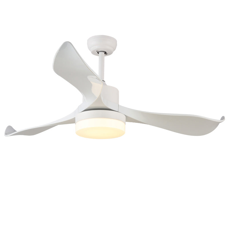 BrisePure ceiling fan