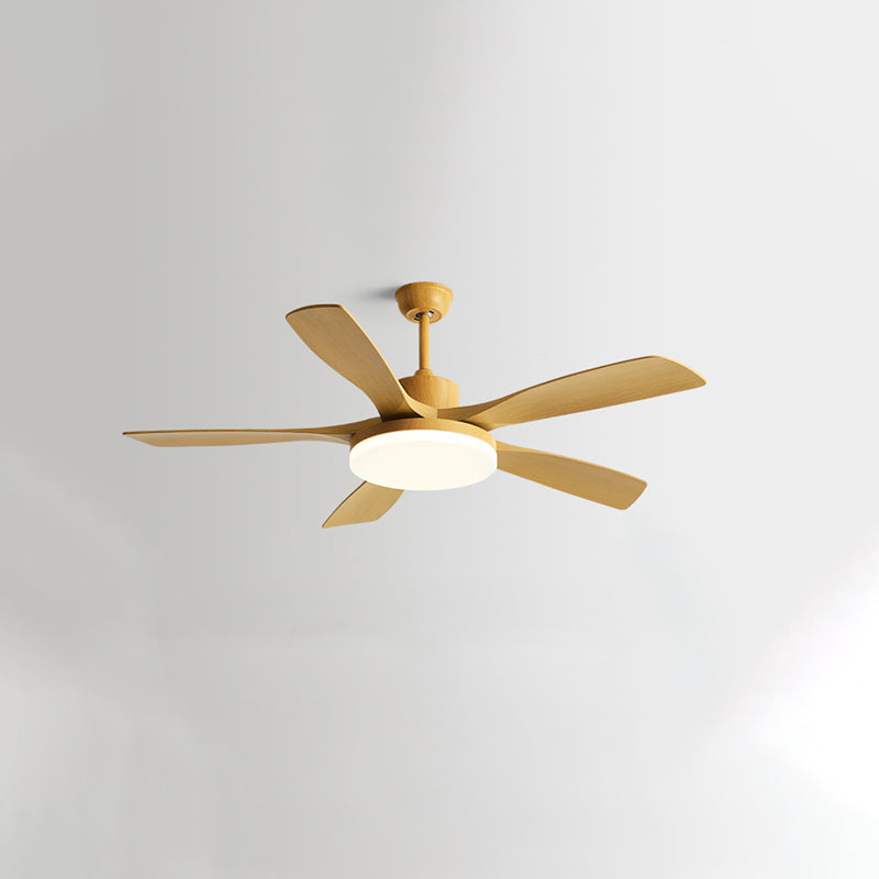 Nordik Quintessence Ceiling Fan