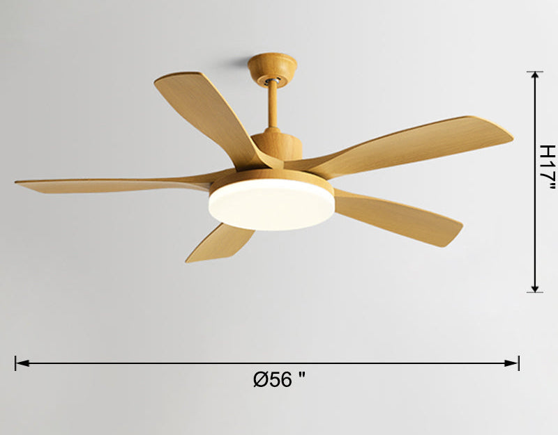 Nordik Quintessence Ceiling Fan