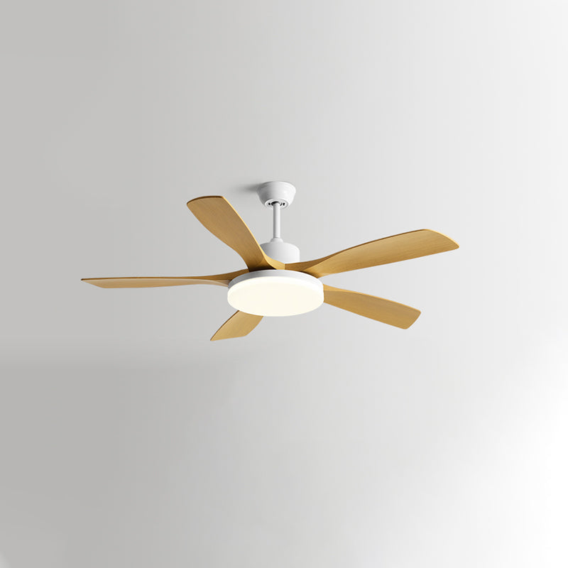 Nordik Quintessence Ceiling Fan