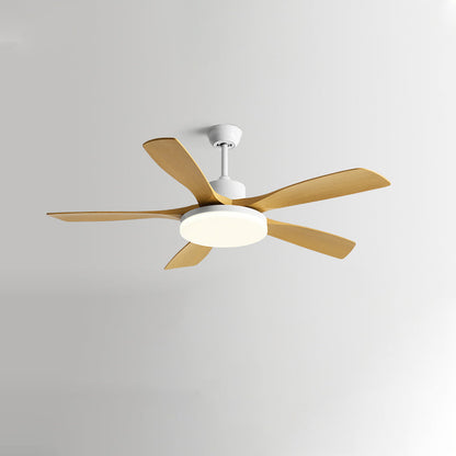 Nordik Quintessence Ceiling Fan