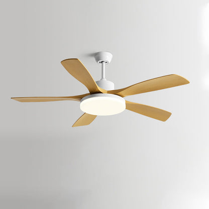 Nordik Quintessence Ceiling Fan
