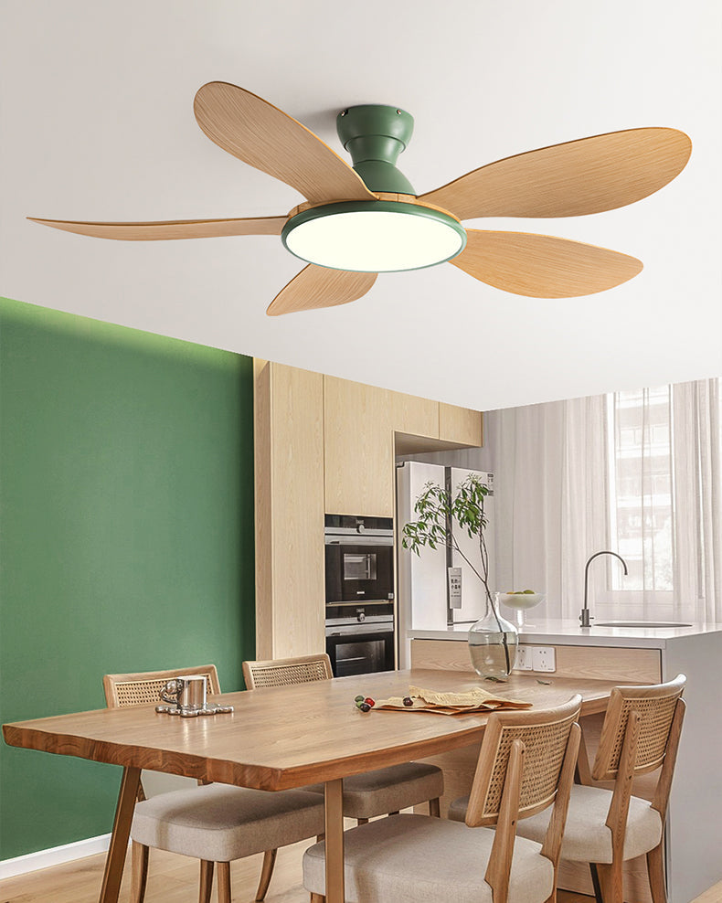 Nordik Clear Ceiling Fan