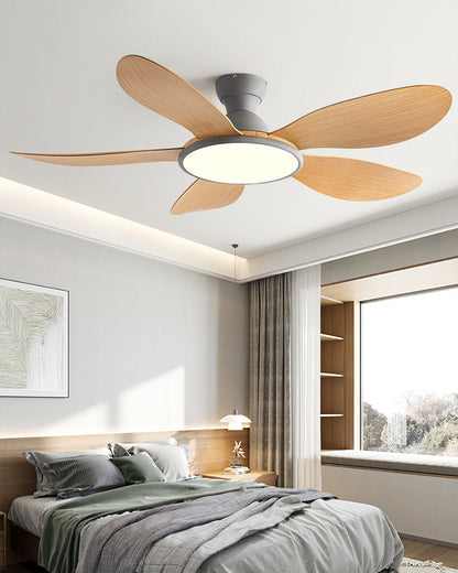 Nordik Clear Ceiling Fan