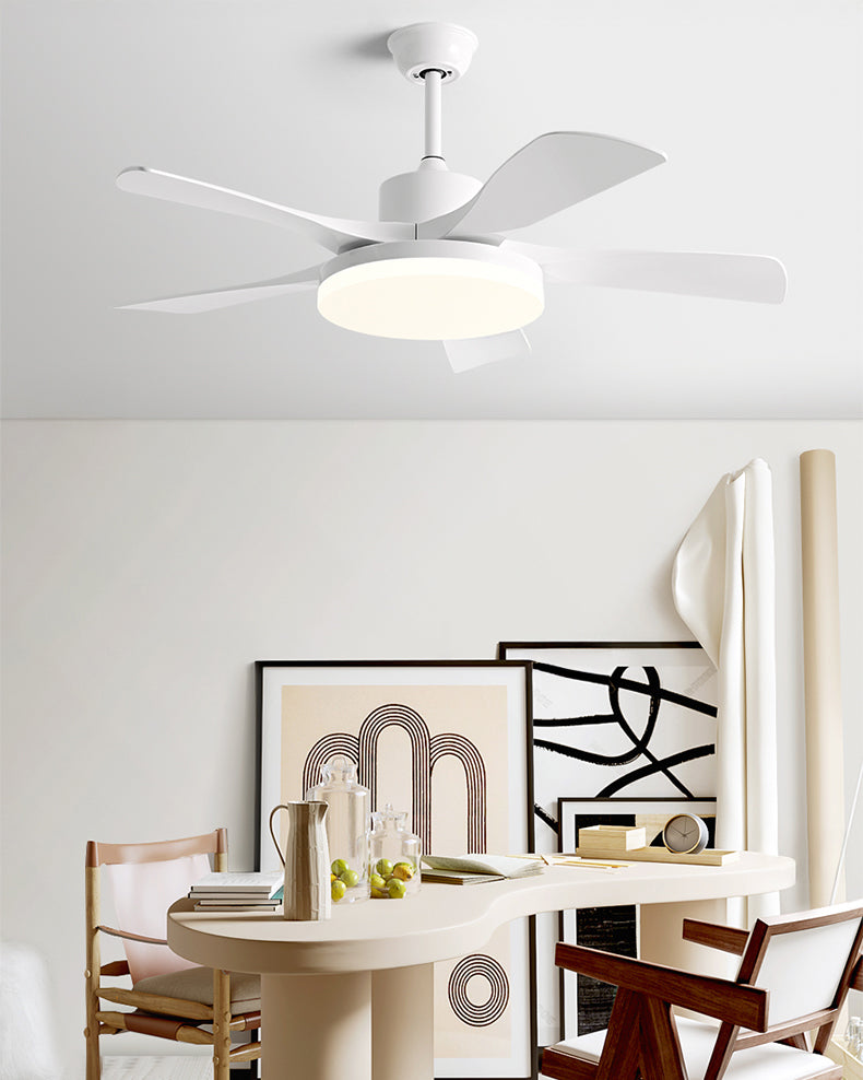 Celestia Ceiling Fan