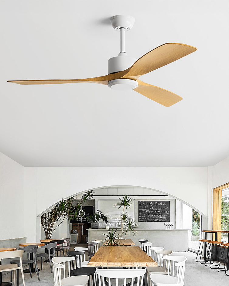 Aéra Ceiling Fan