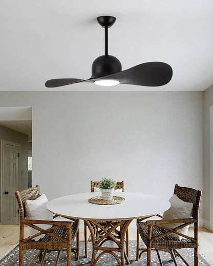 Aero Duo Ceiling Fan