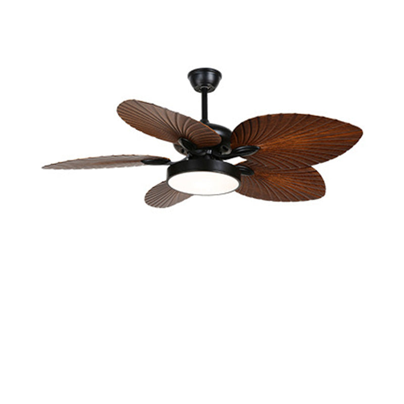 Tropical Ceiling Fan - TropiZen