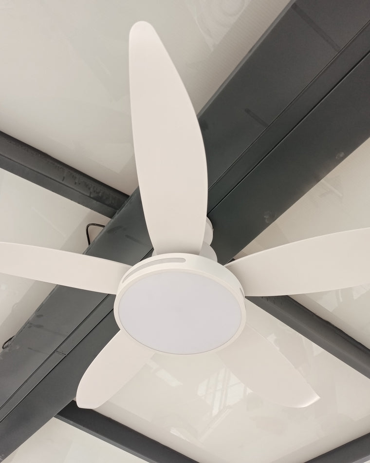 LuminaFlow LED Fan