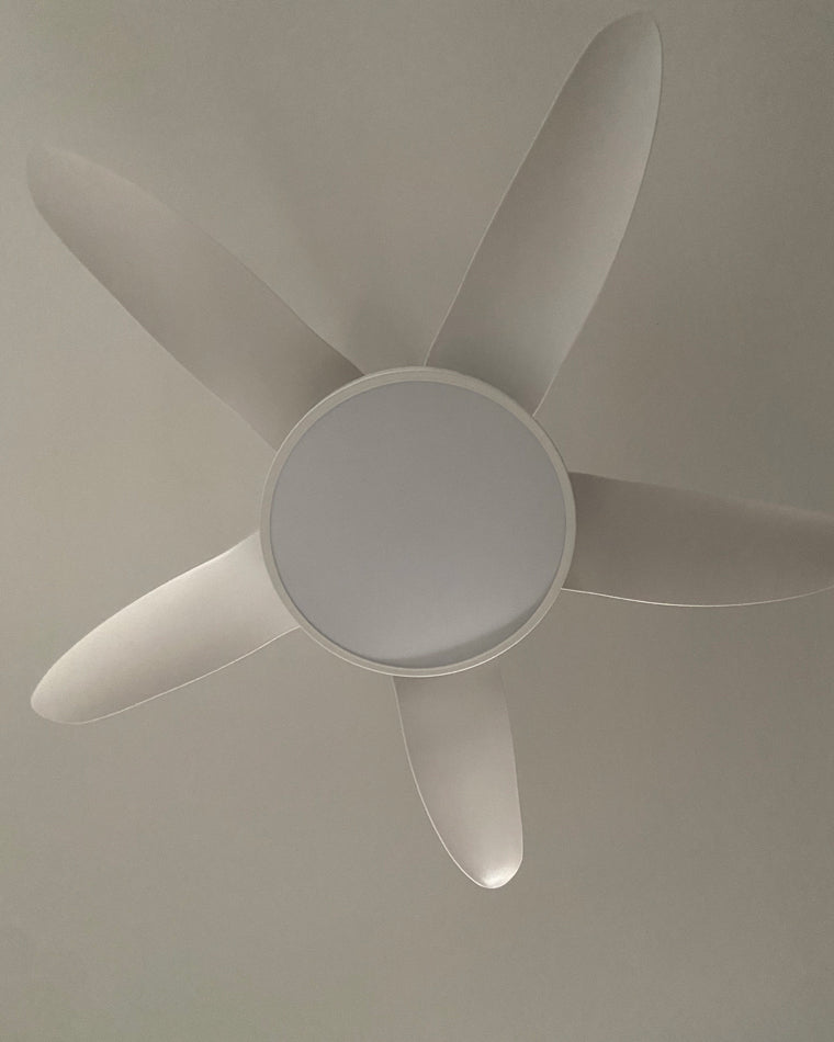 LuminaFlow LED Fan