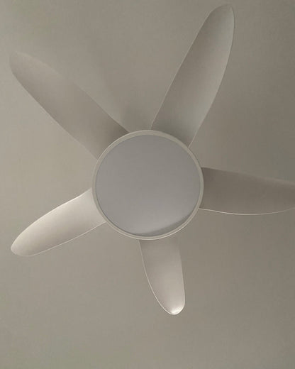 LuminaFlow LED Fan